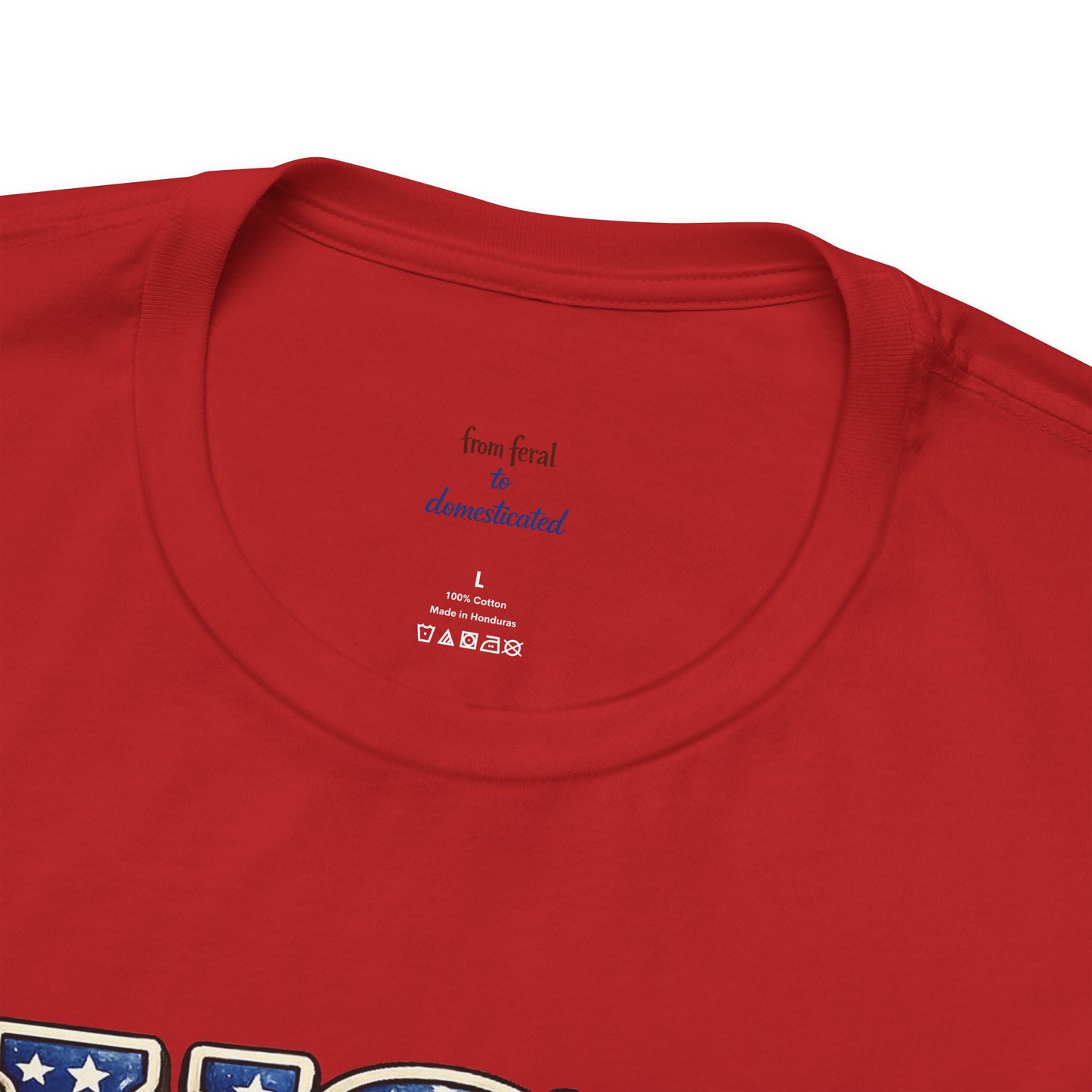 Patriot Raccoon 250th Anniversary T-Shirt — 4th of July Fireworks Flag Tee