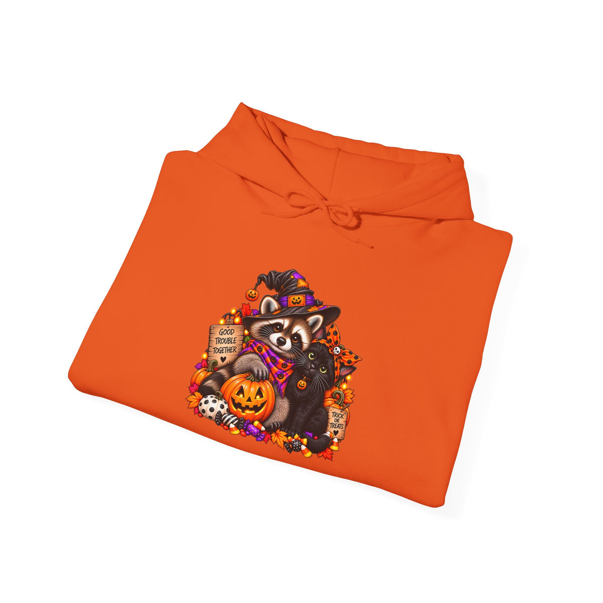 Halloween Raccoon and Black Cat Bestie Hooded Sweatshirt