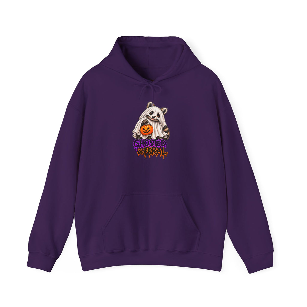 Ghosted Raccoon Hooded Sweatshirt