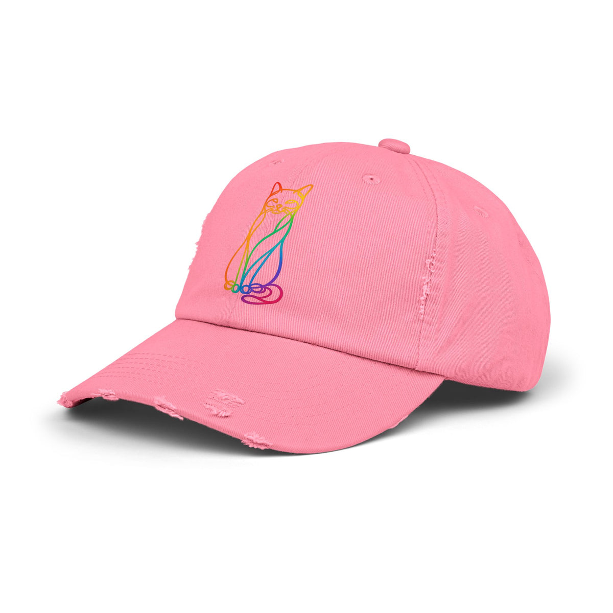 Rainbow Cat Distressed Cap
