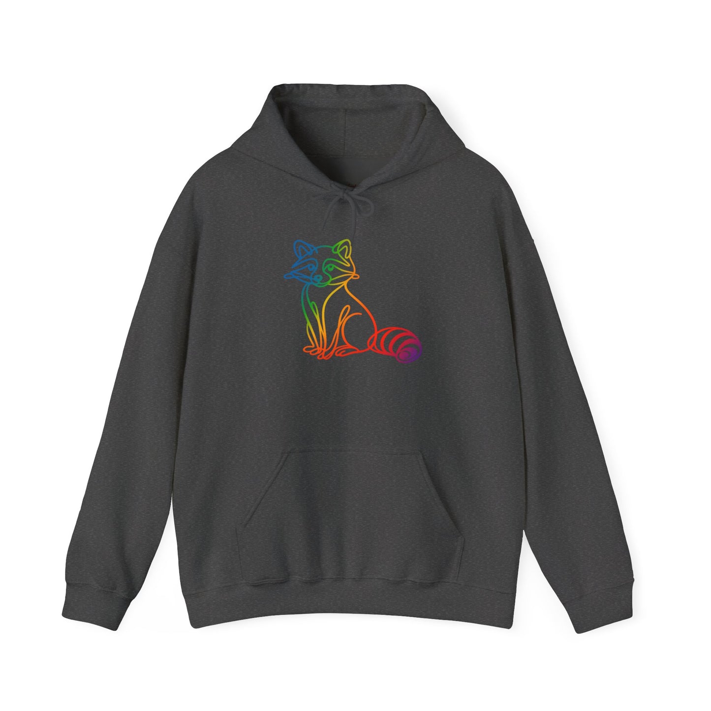 Rainbow Line Art Raccoon Hoodie