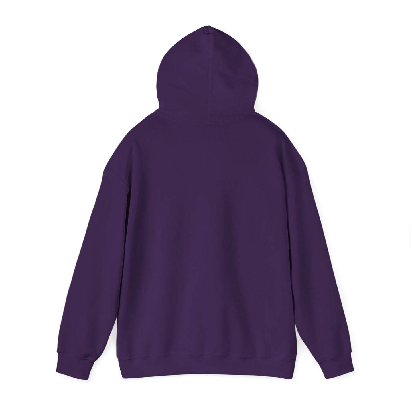 Dancing Raccoon "Maniac" Hooded Sweatshirt