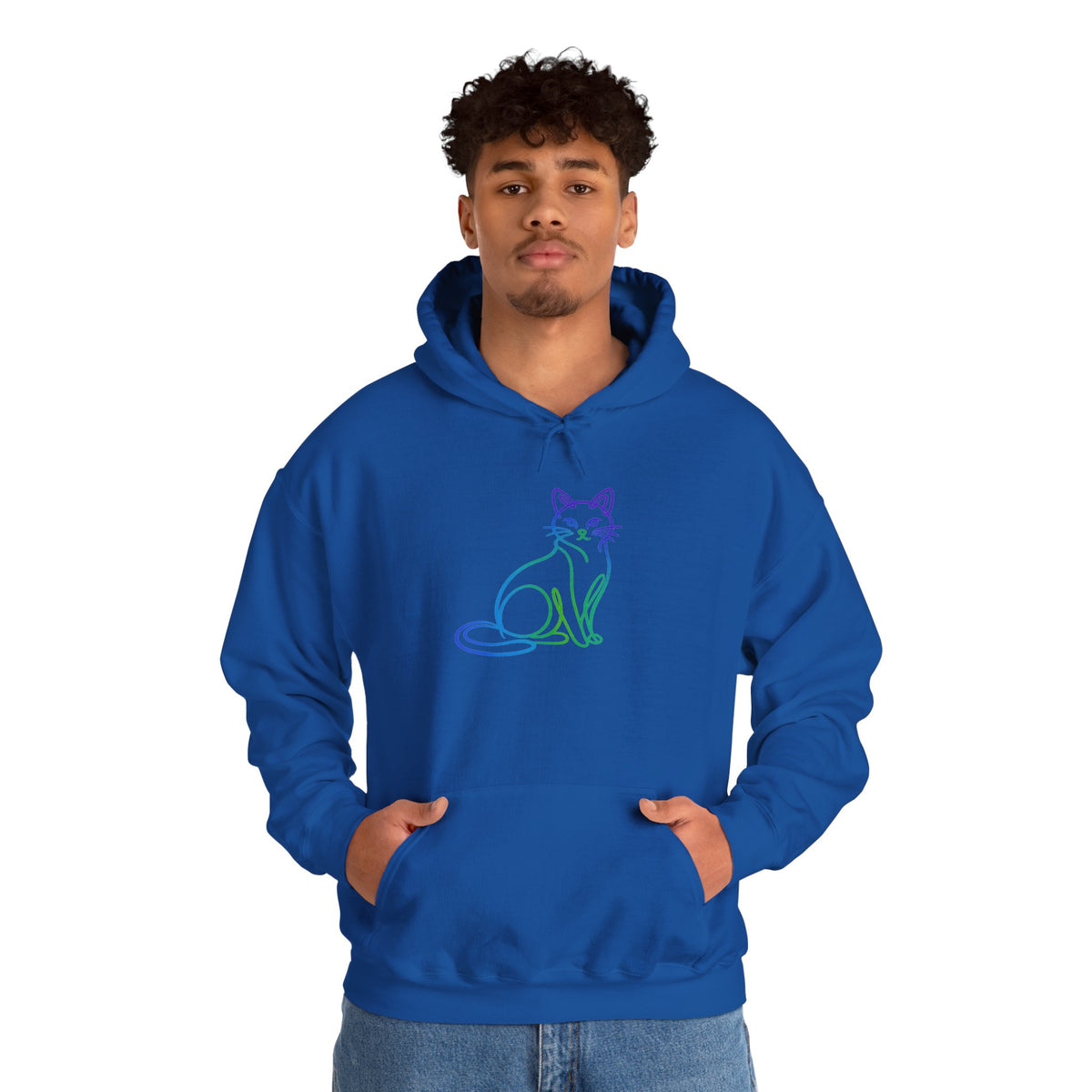 Northern Lights Cat Hooded Sweatshirt