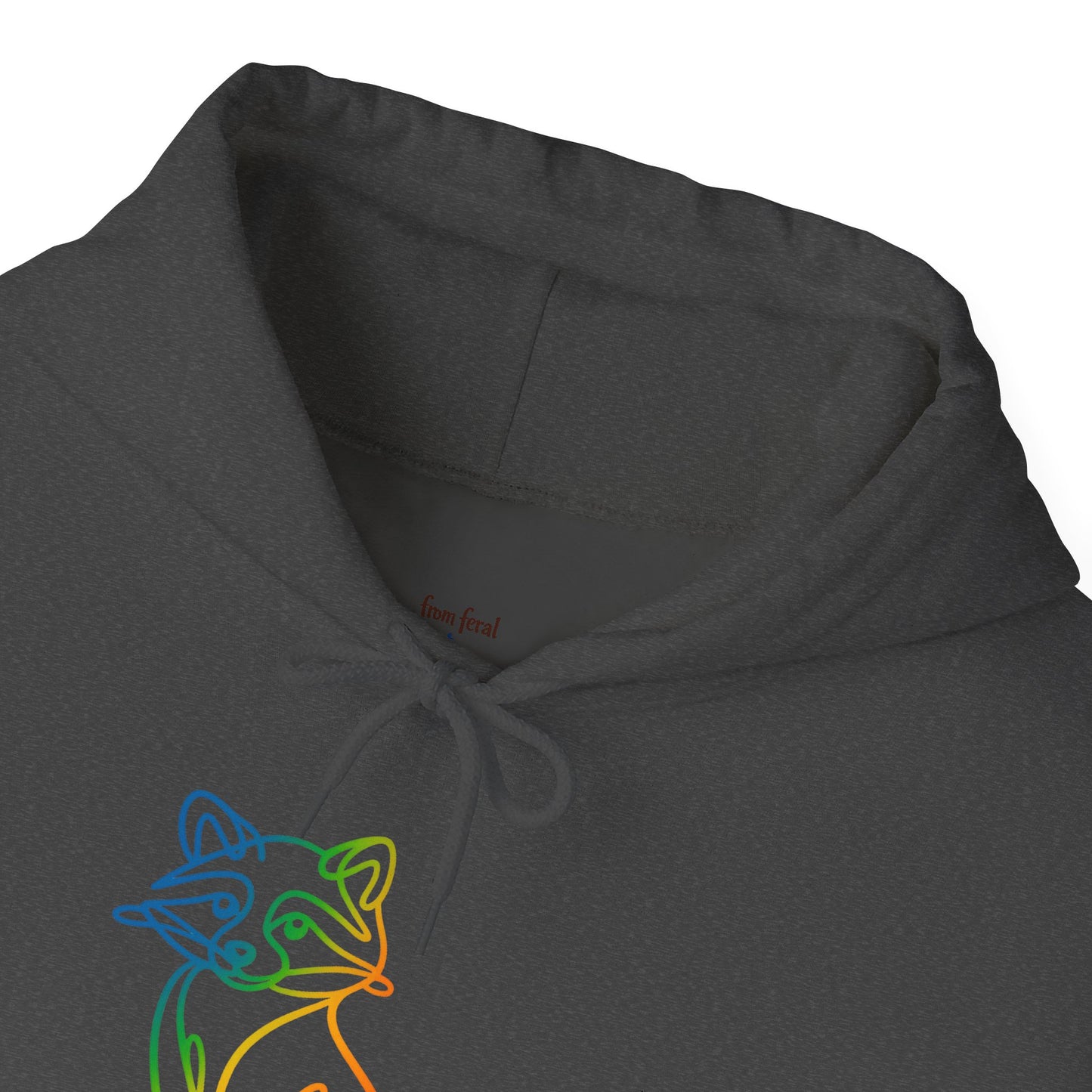 Rainbow Line Art Raccoon Hoodie