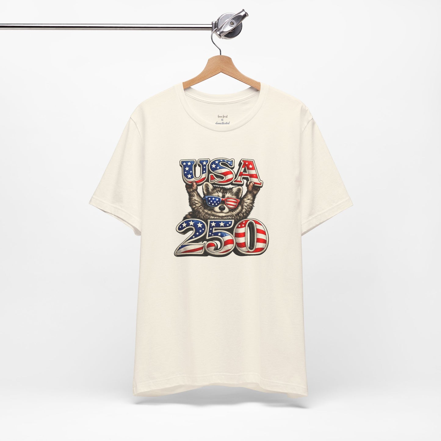 Patriot Raccoon 250th Anniversary T-Shirt — 4th of July Fireworks Flag Tee