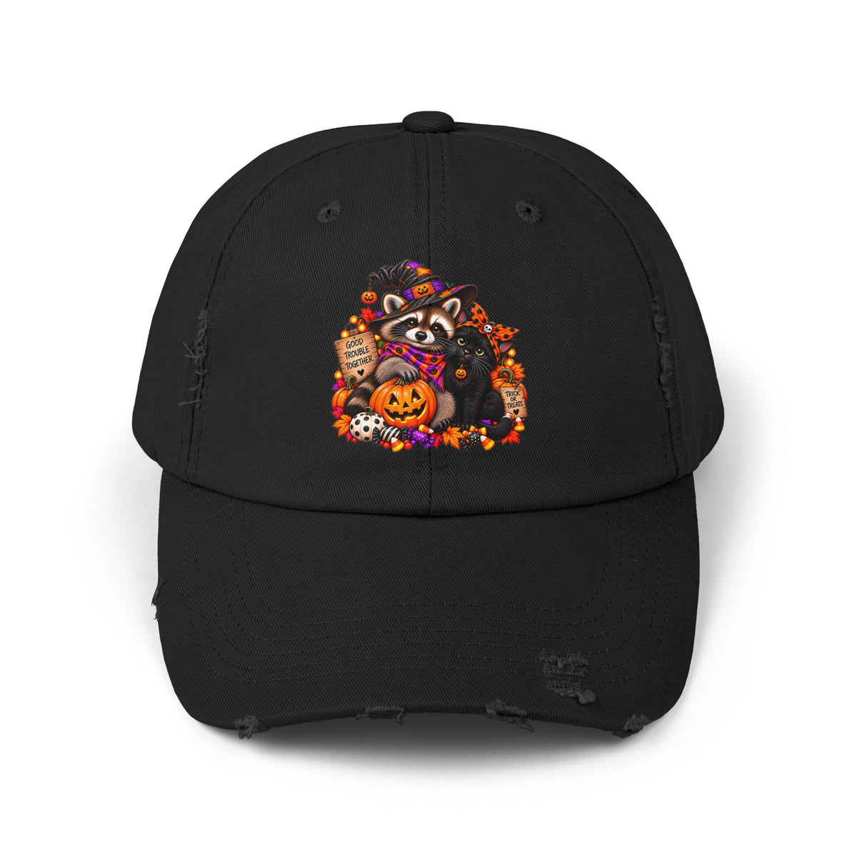 Halloween Raccoon and Black Cat Bestie Distressed Baseball Hat