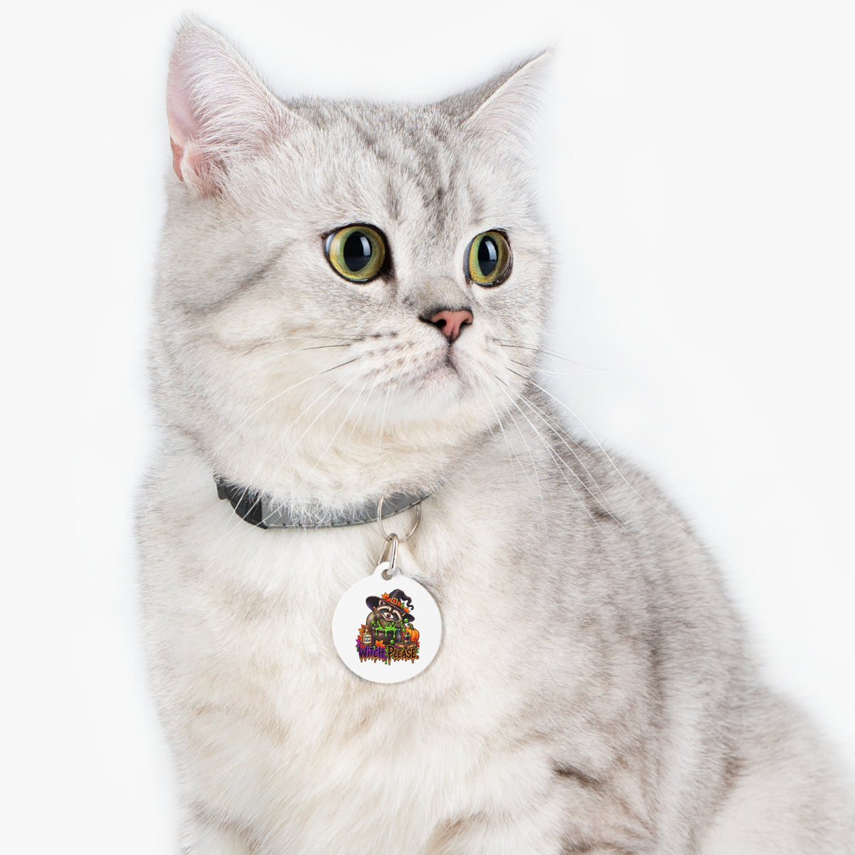 Halloween Raccoon Pet Tag