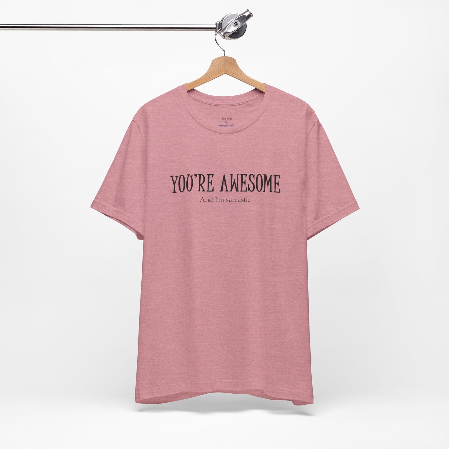 You're Awesome (And I'm Sarcastic) T-Shirt