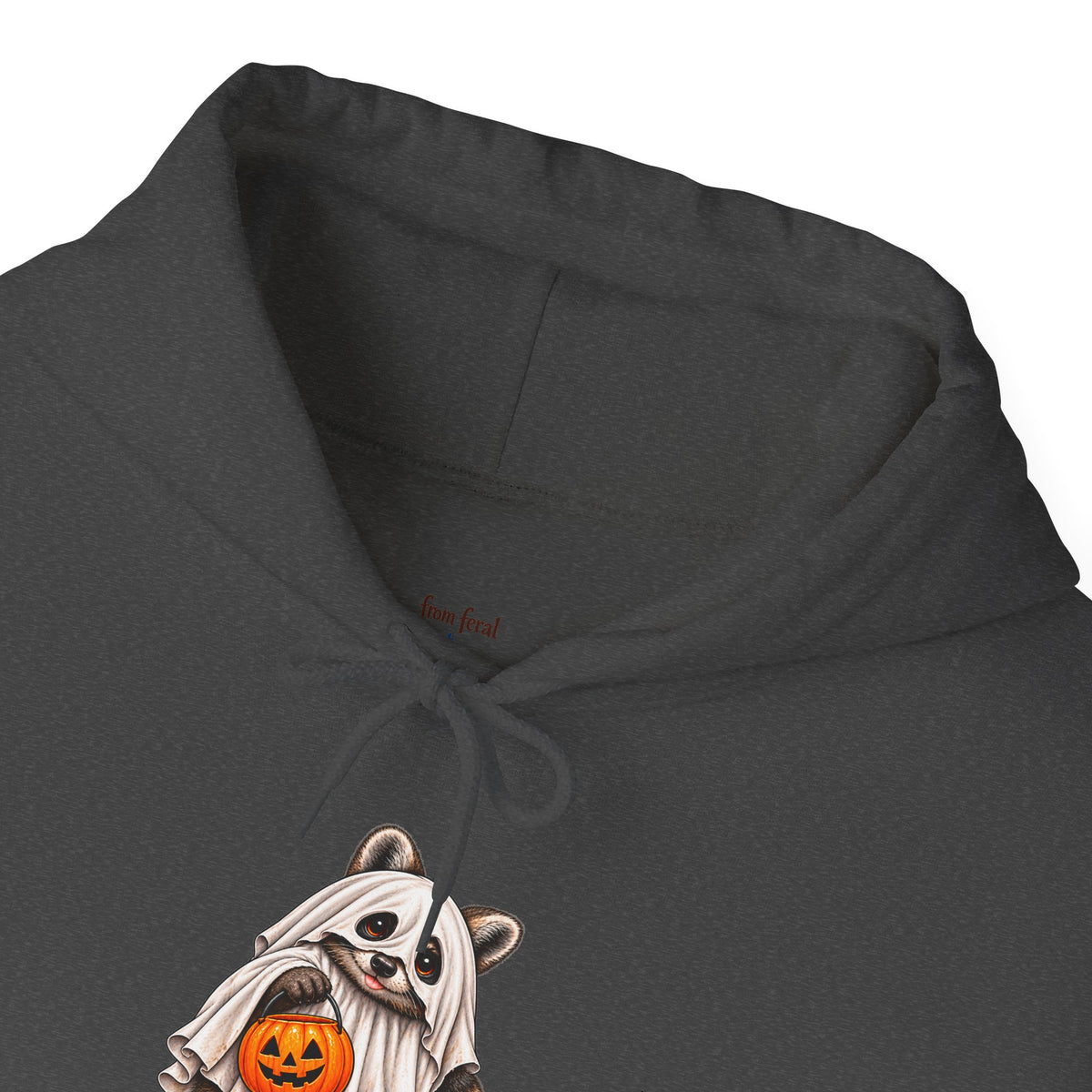 Ghosted Raccoon Hooded Sweatshirt