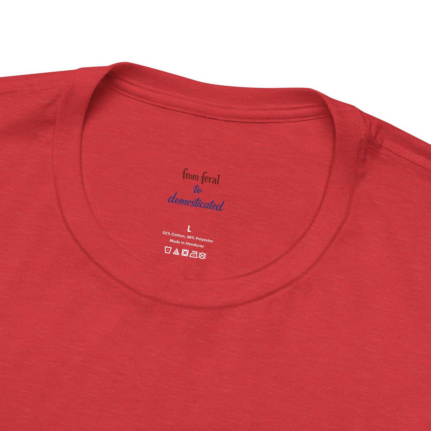 You're Awesome (And I'm Sarcastic) T-Shirt