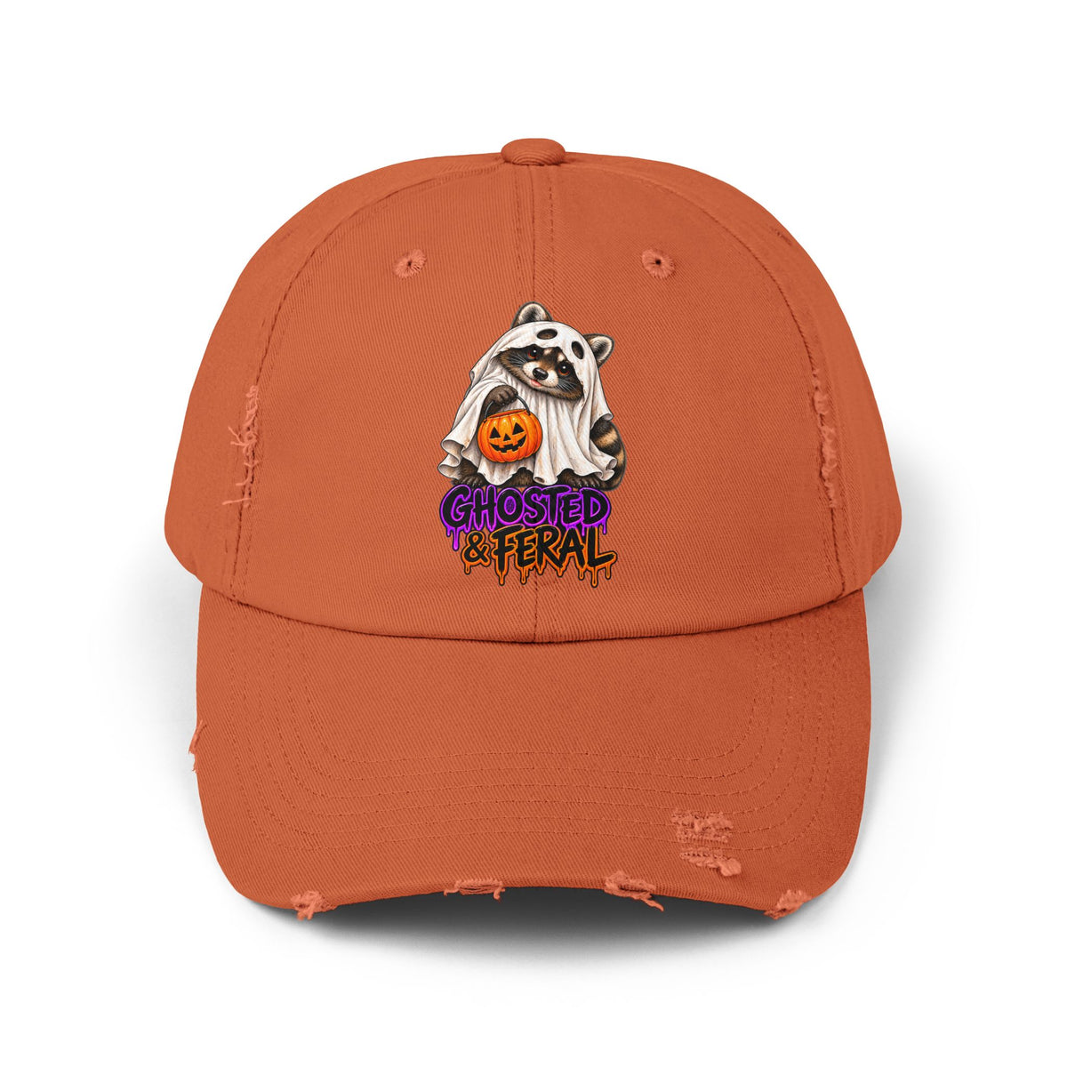 Ghosted Raccoon Distressed Baseball Hat