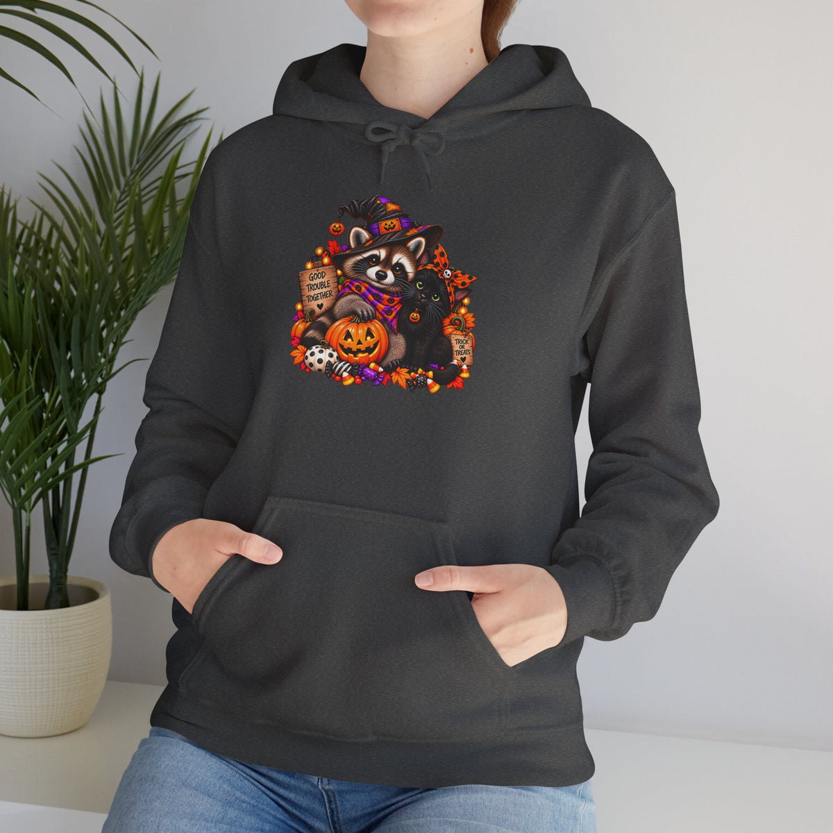 Halloween Raccoon and Black Cat Bestie Hooded Sweatshirt