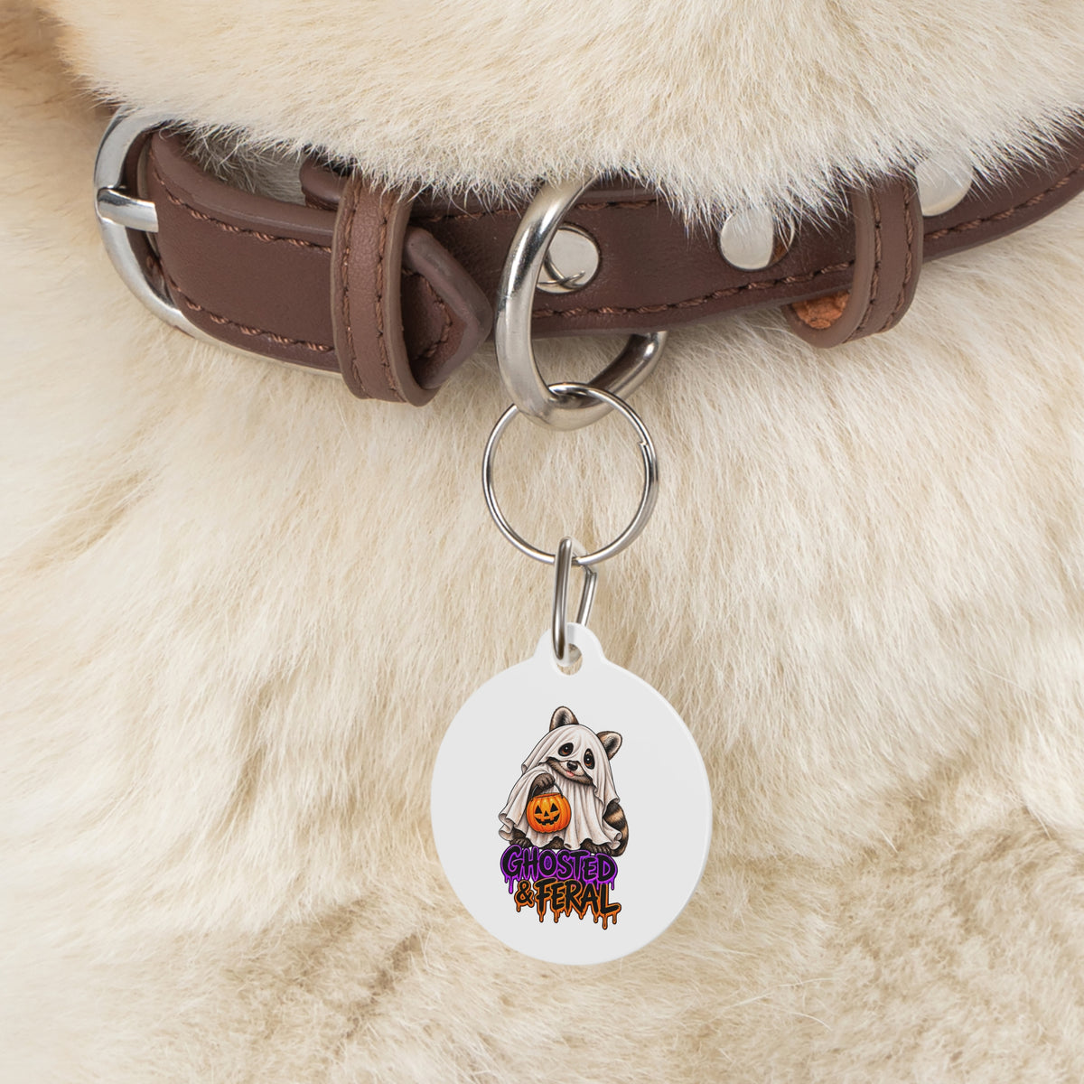 Halloween Raccoon Pet Tag