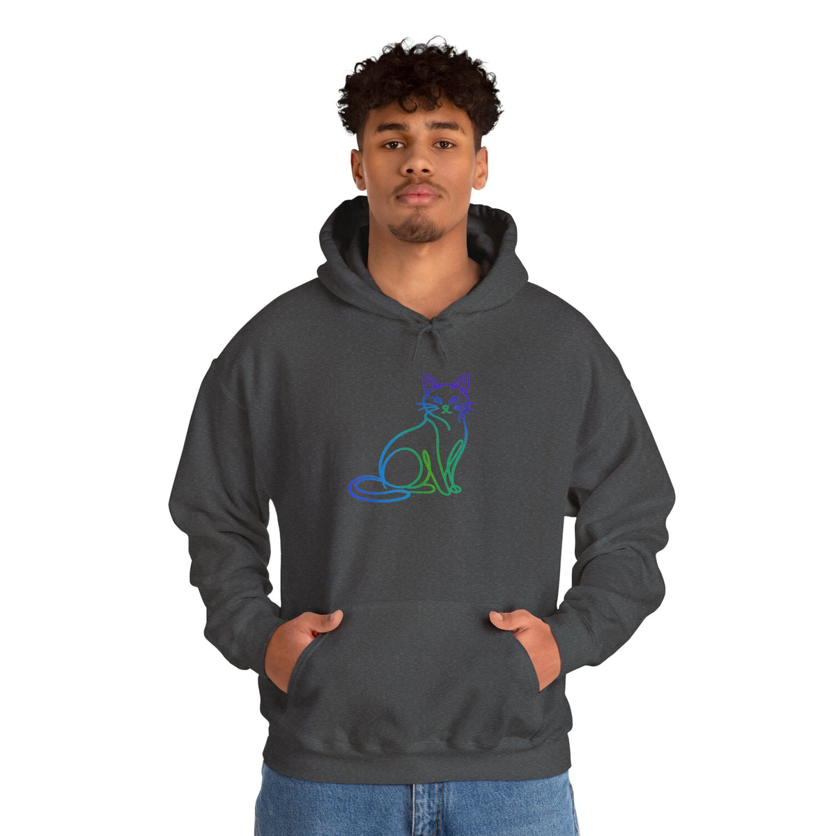 Northern Lights Cat Hooded Sweatshirt