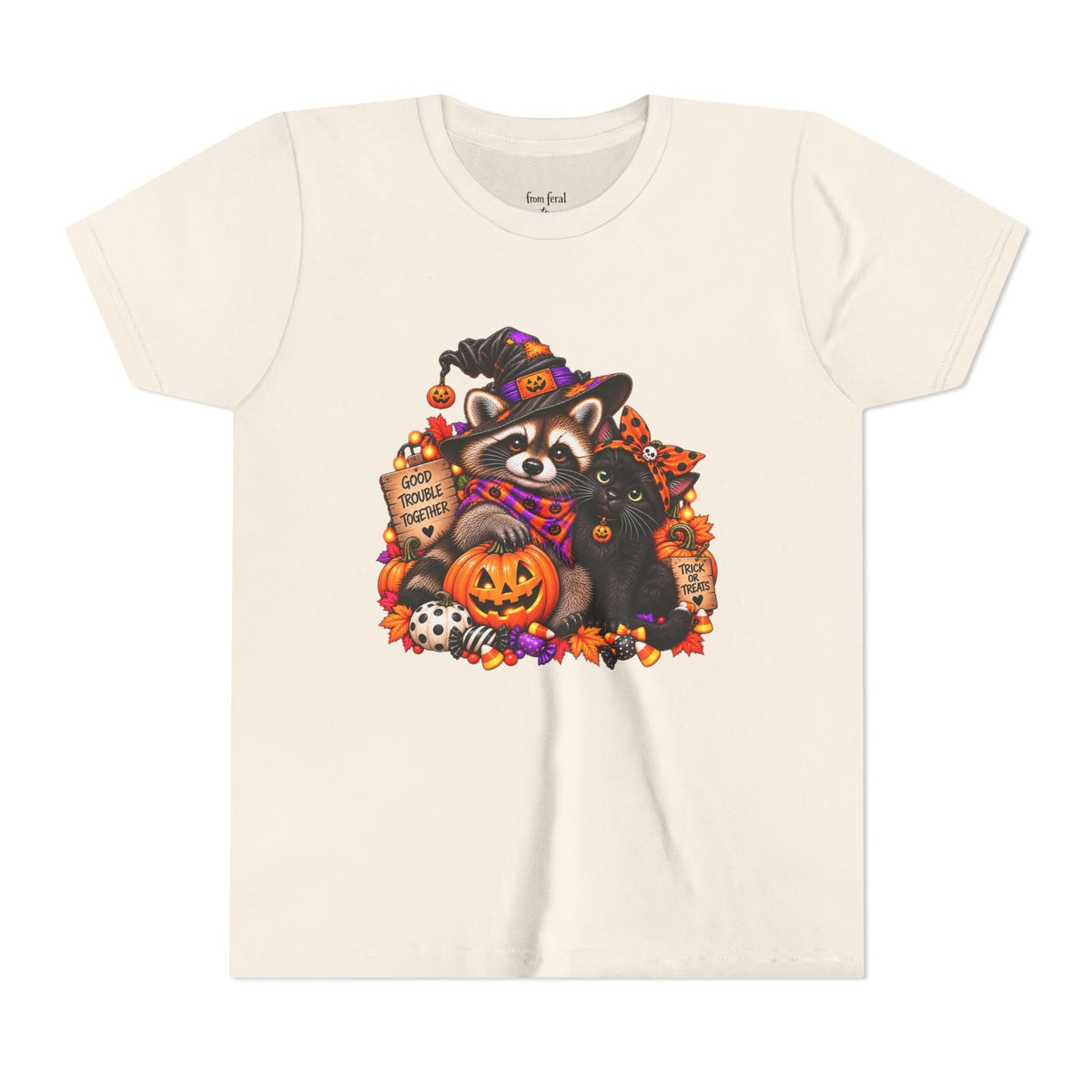 Halloween Youth Tee — Raccoon with it's Black Cat Bestie Kids Tshirt
