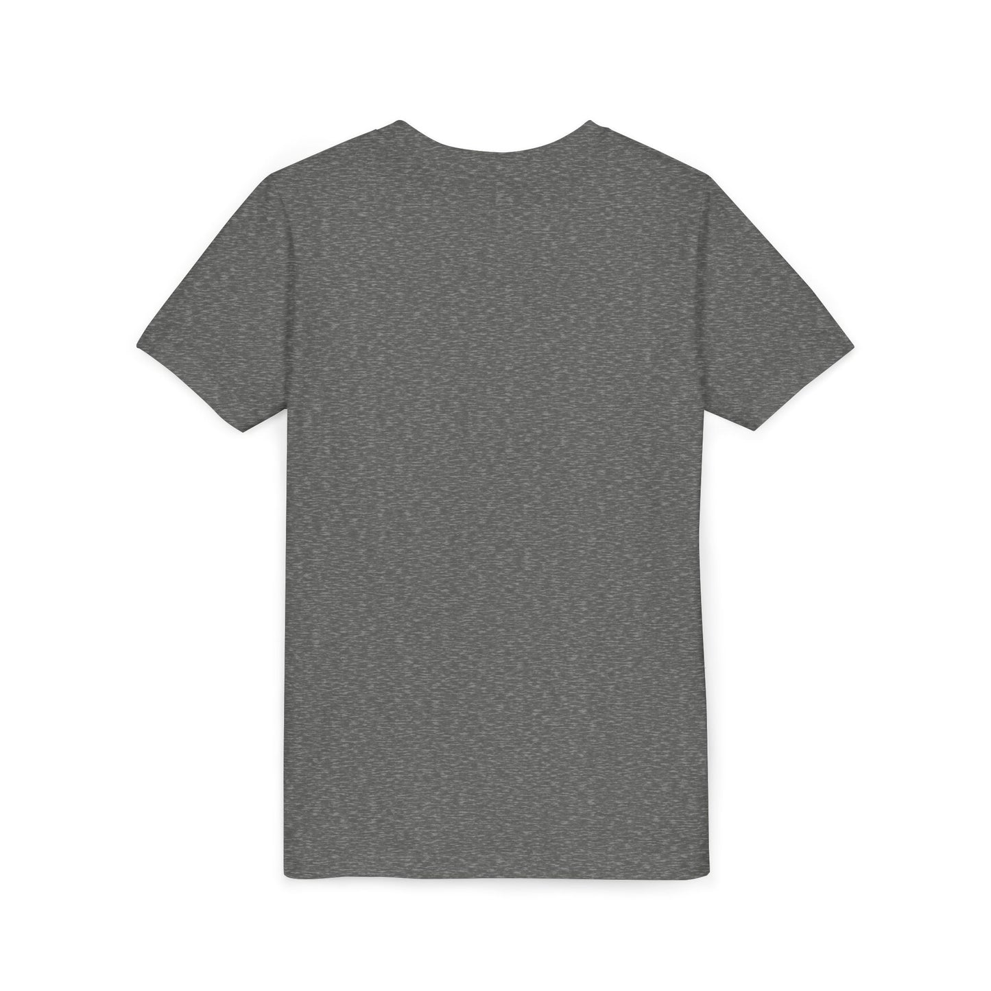 Patriotic Raccoon Youth Tee — Raccoon with USA 250