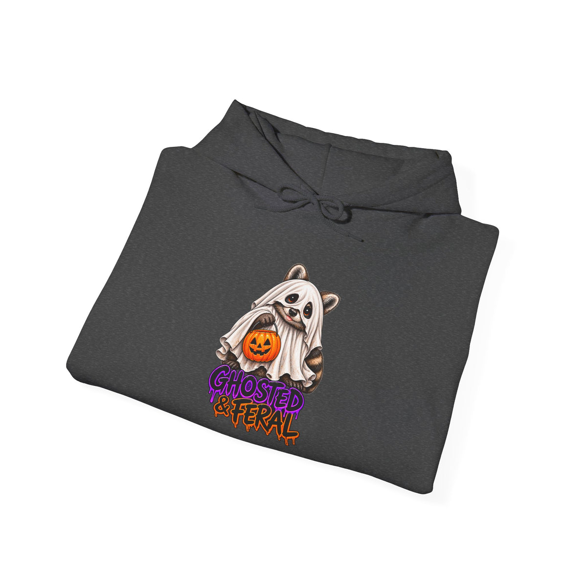 Ghosted Raccoon Hooded Sweatshirt