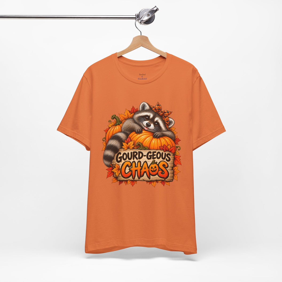 Gourd-geous Raccoon T-Shirt