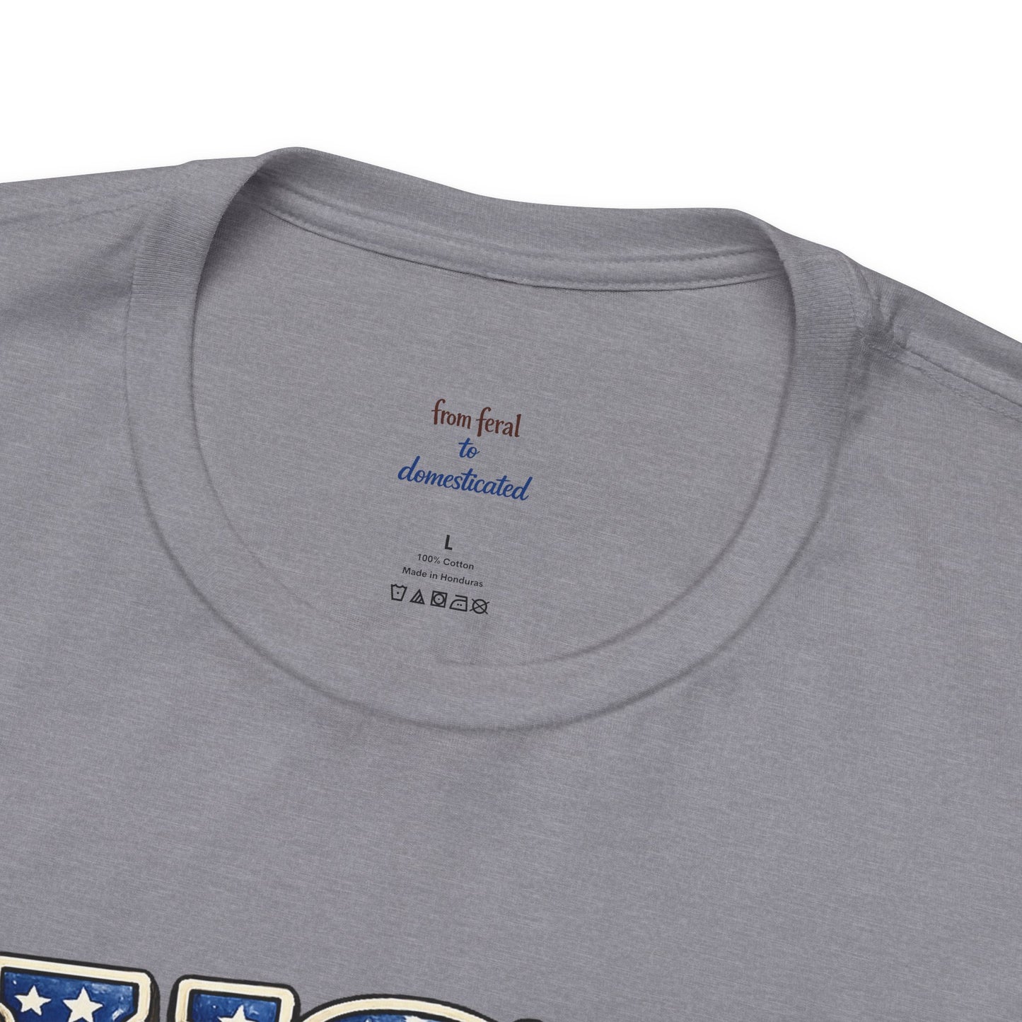 Patriot Raccoon 250th Anniversary T-Shirt — 4th of July Fireworks Flag Tee