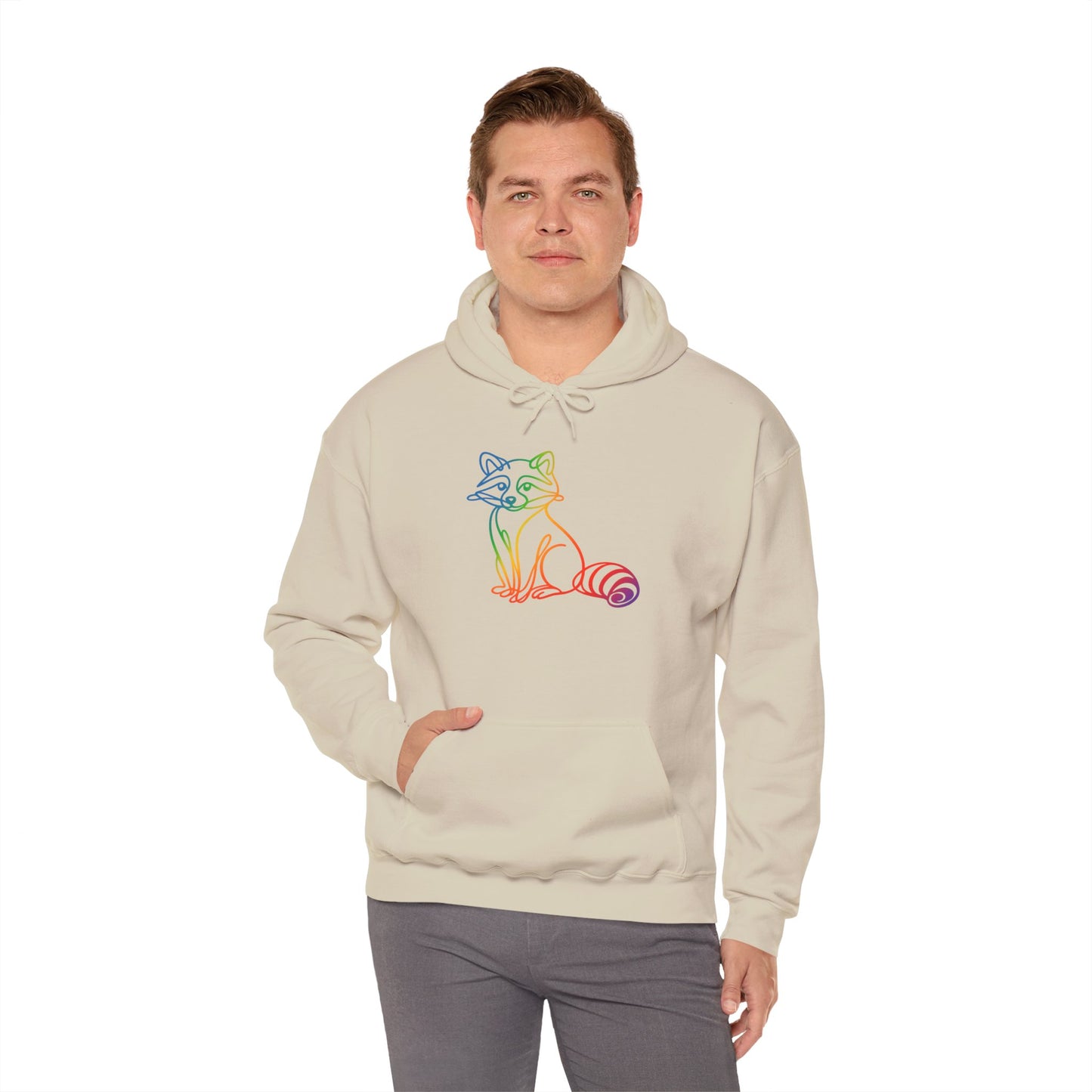 Rainbow Line Art Raccoon Hoodie