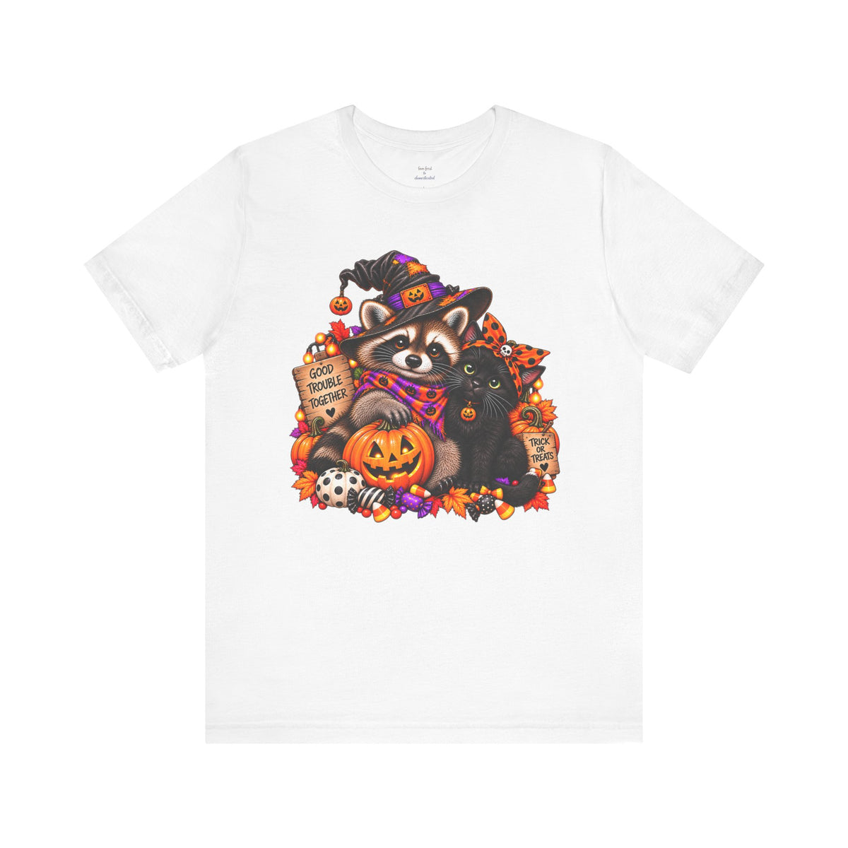Halloween Raccoon and Black Cat T-Shirt
