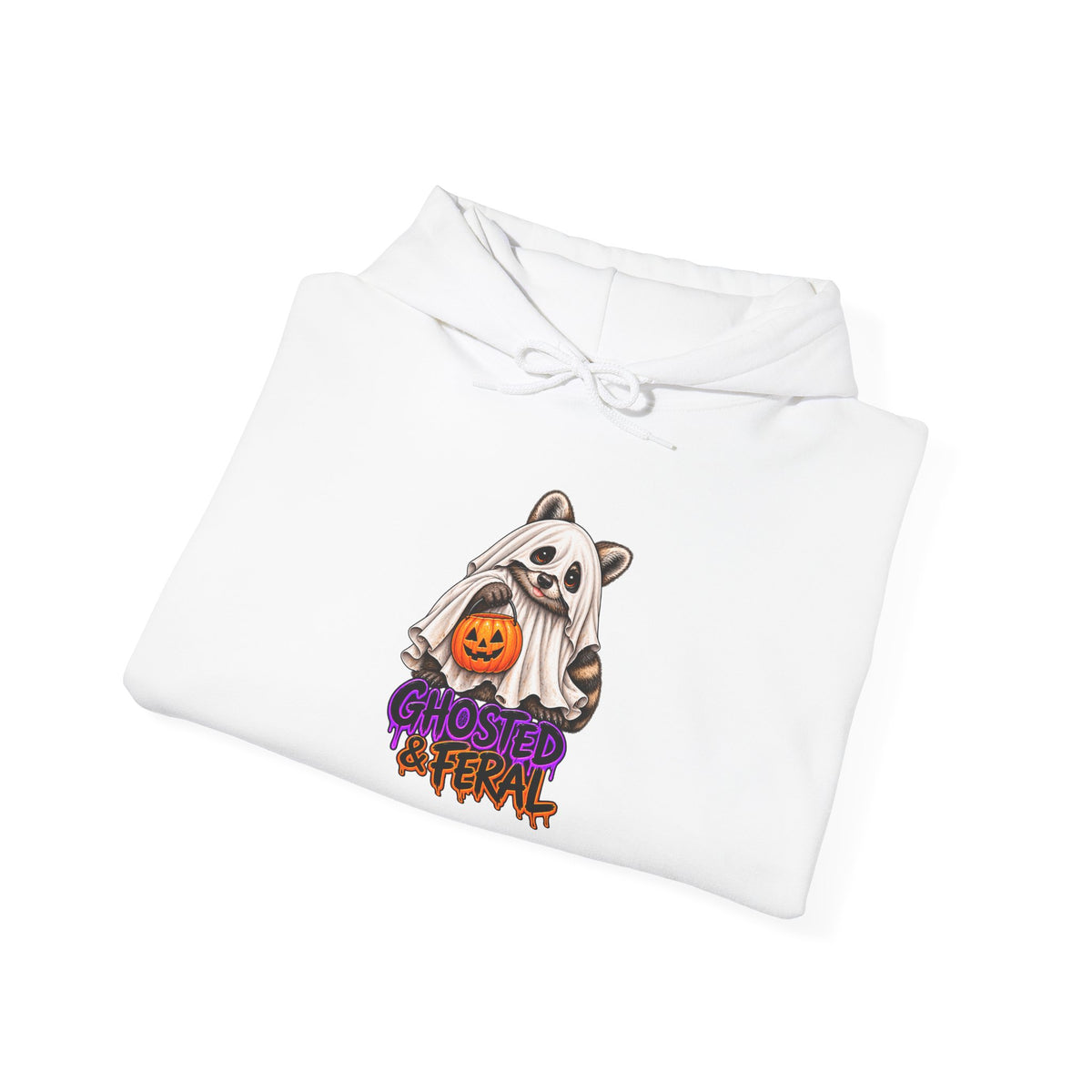 Ghosted Raccoon Hooded Sweatshirt