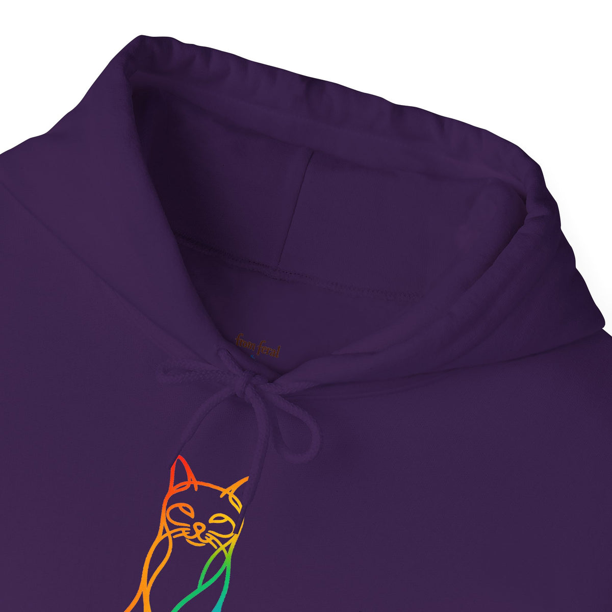 Rainbow Cat Hooded Sweatshirt