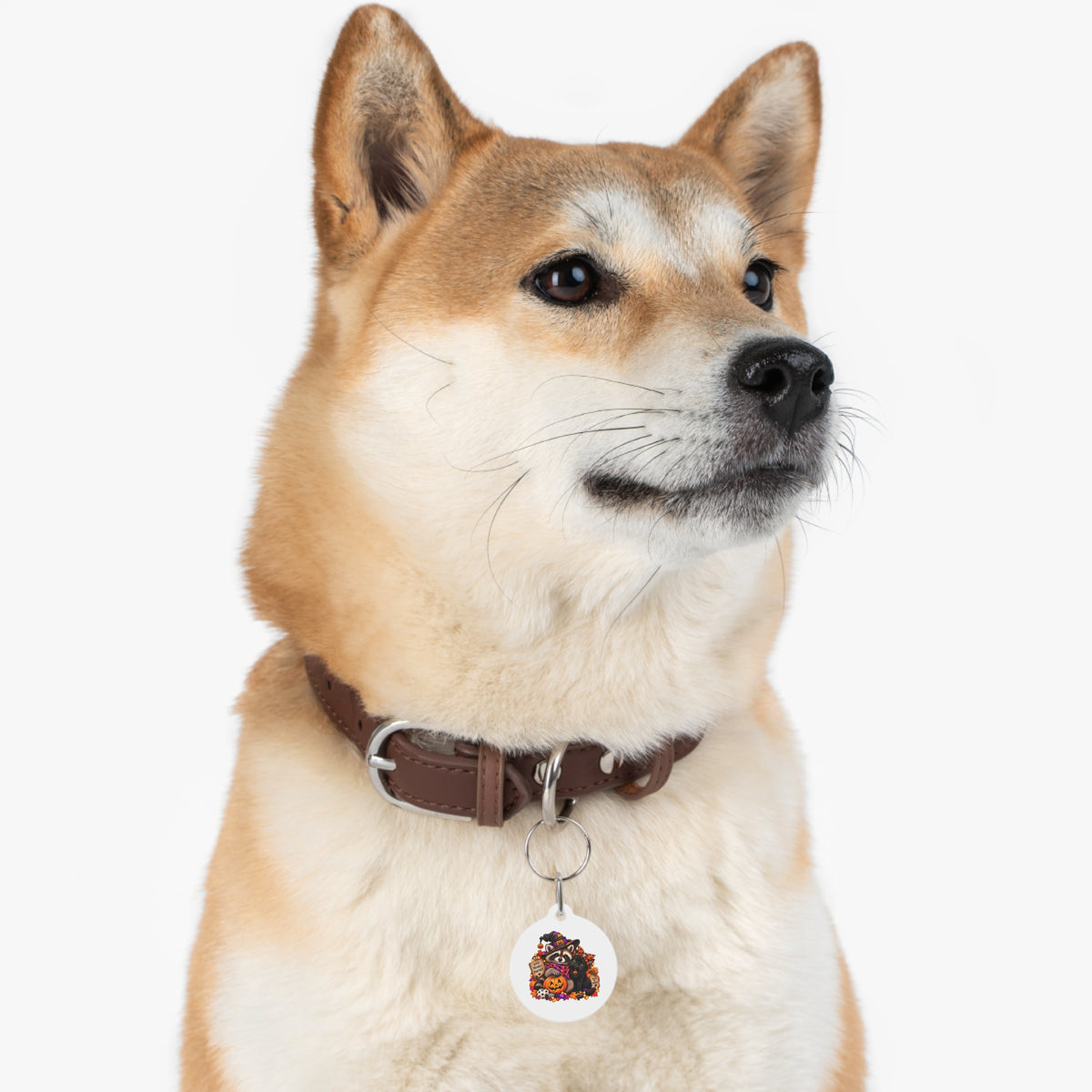 Halloween Pet Tag