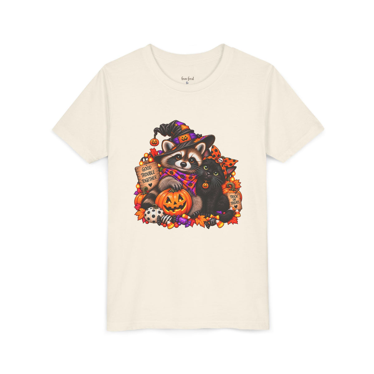 Halloween Youth Tee — Raccoon with it's Black Cat Bestie Kids Tshirt
