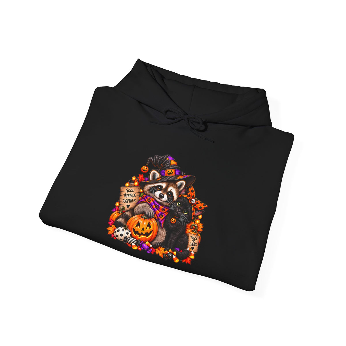 Halloween Raccoon and Black Cat Bestie Hooded Sweatshirt