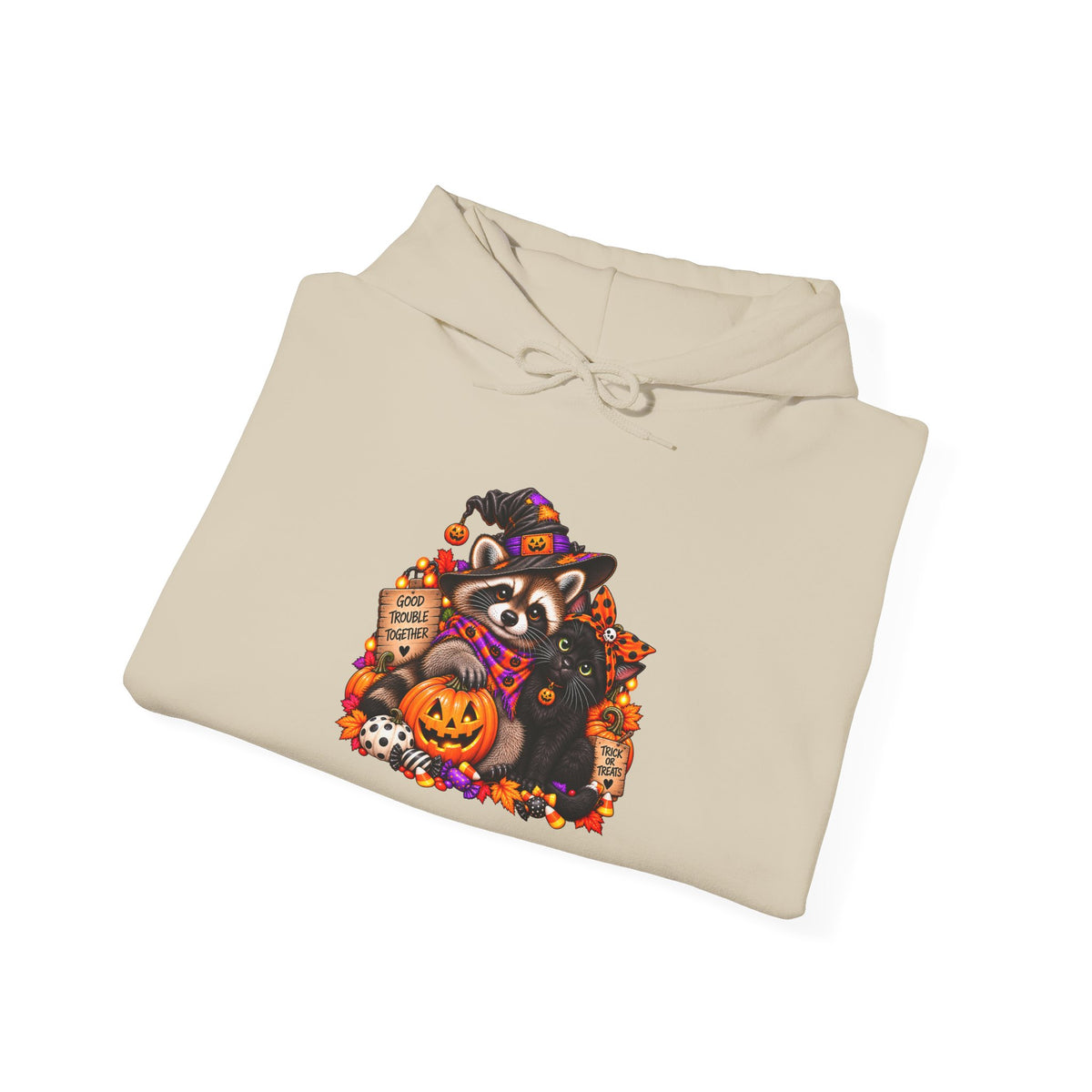 Halloween Raccoon and Black Cat Bestie Hooded Sweatshirt