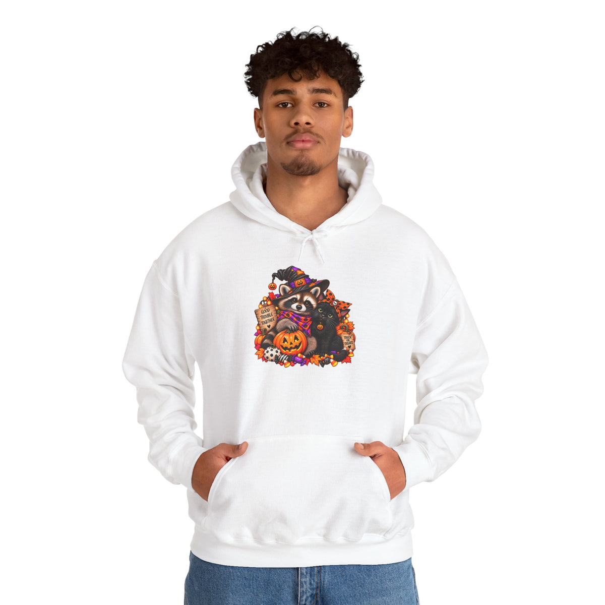 Halloween Raccoon and Black Cat Bestie Hooded Sweatshirt