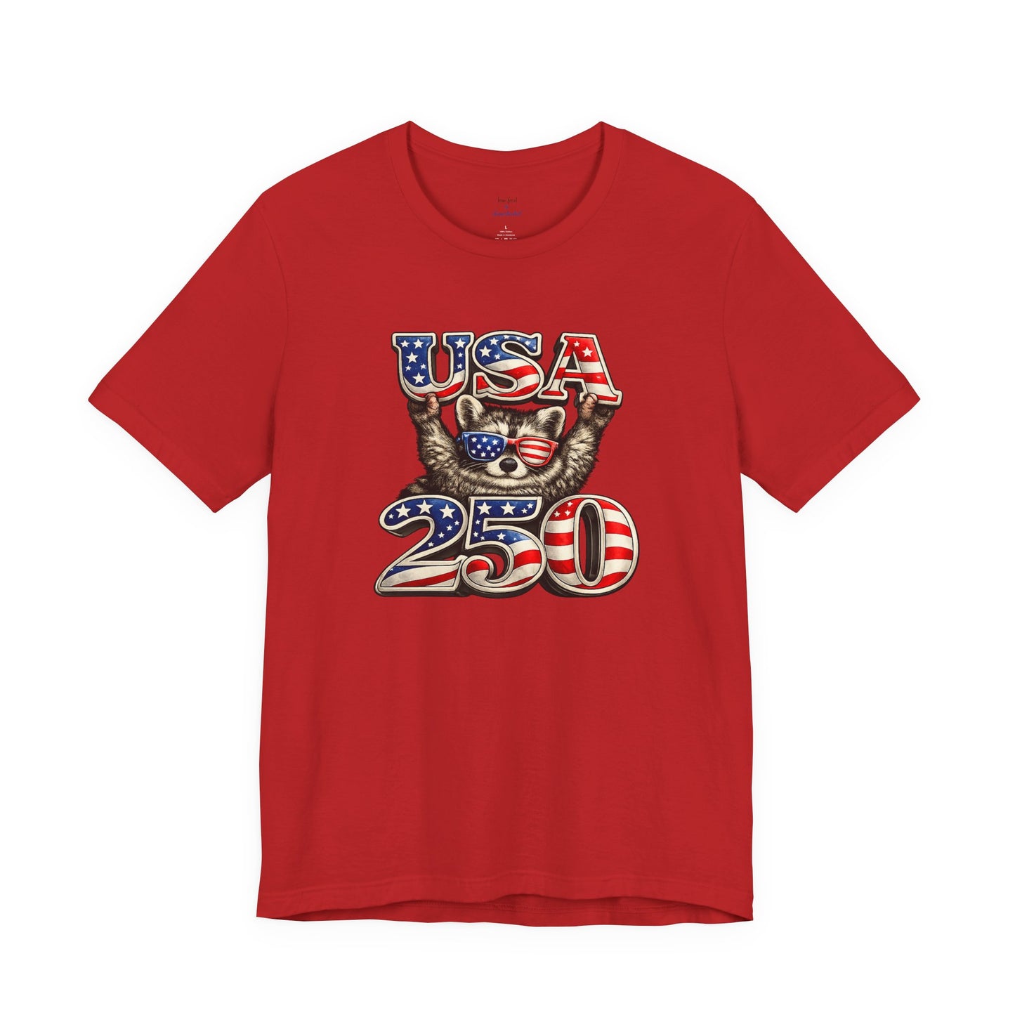 Patriot Raccoon 250th Anniversary T-Shirt — 4th of July Fireworks Flag Tee