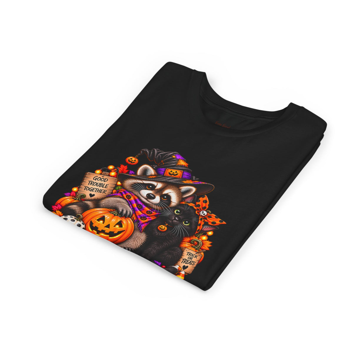 Halloween Youth Tee — Raccoon with it's Black Cat Bestie Kids Tshirt