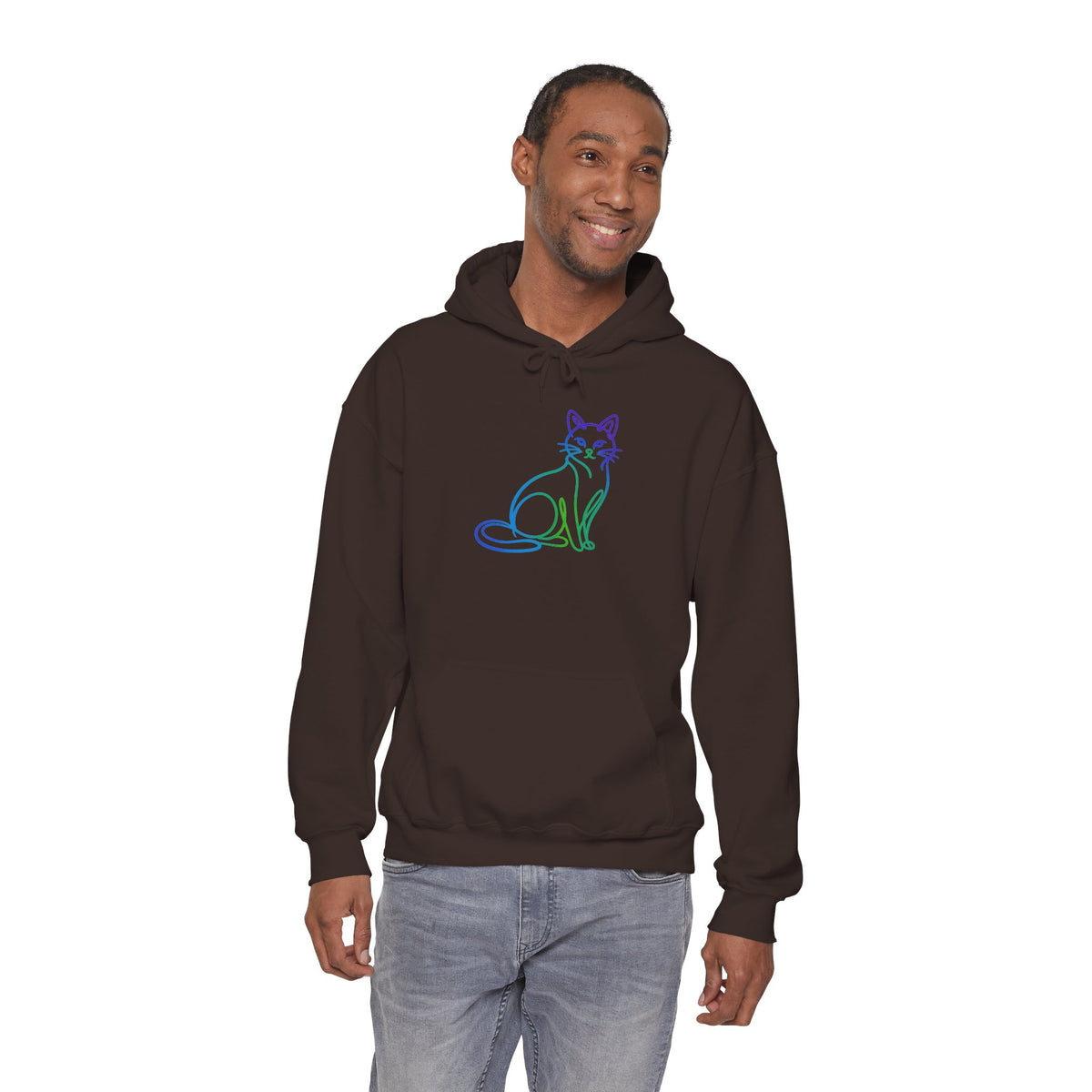 Northern Lights Cat Hooded Sweatshirt