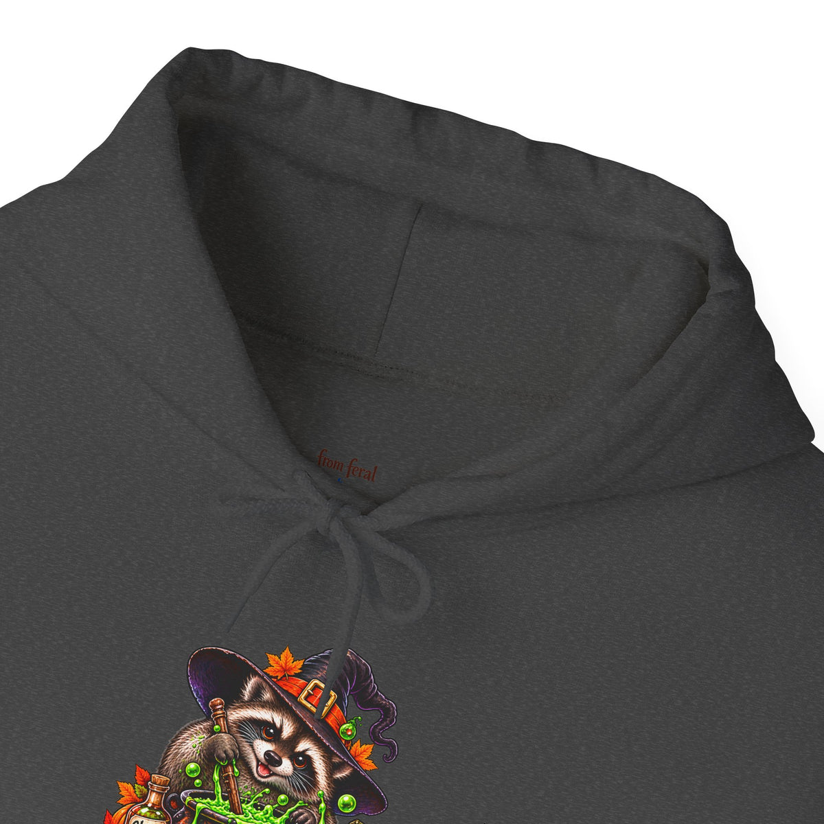 Witch, Please. Raccoon Hooded Sweatshirt
