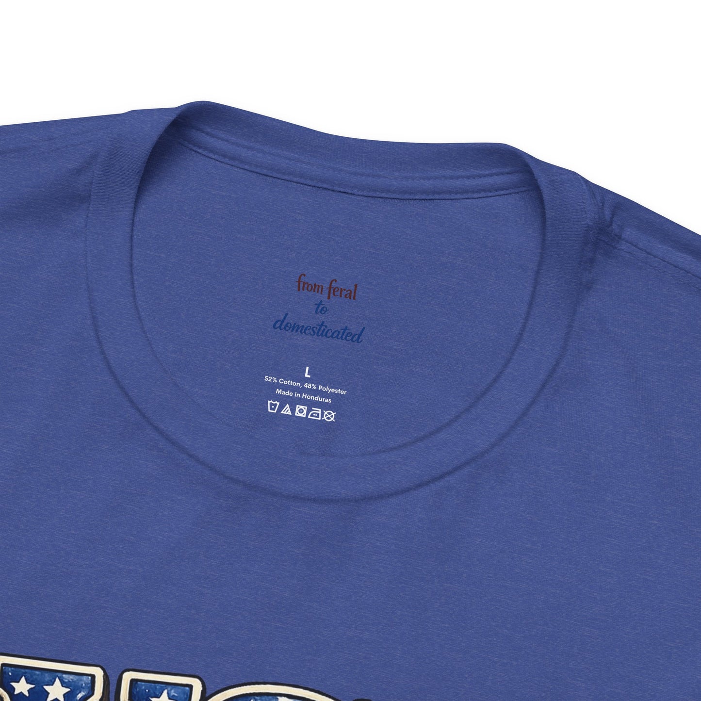 Patriot Raccoon 250th Anniversary T-Shirt — 4th of July Fireworks Flag Tee