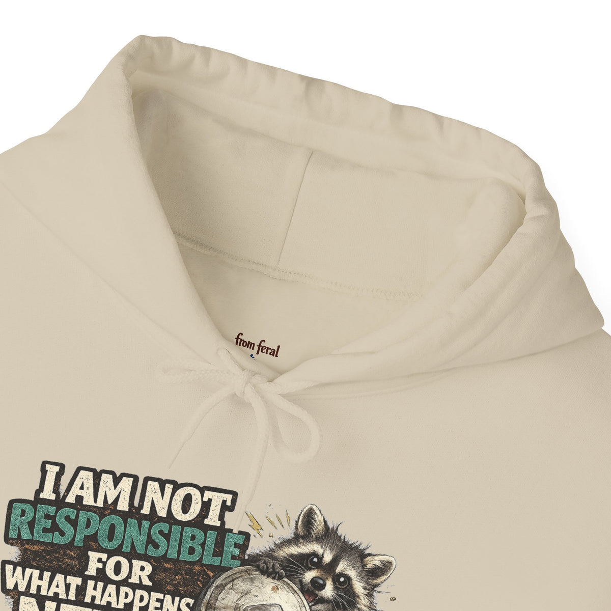 Not Responsible Raccoon Hooded Sweatshirt