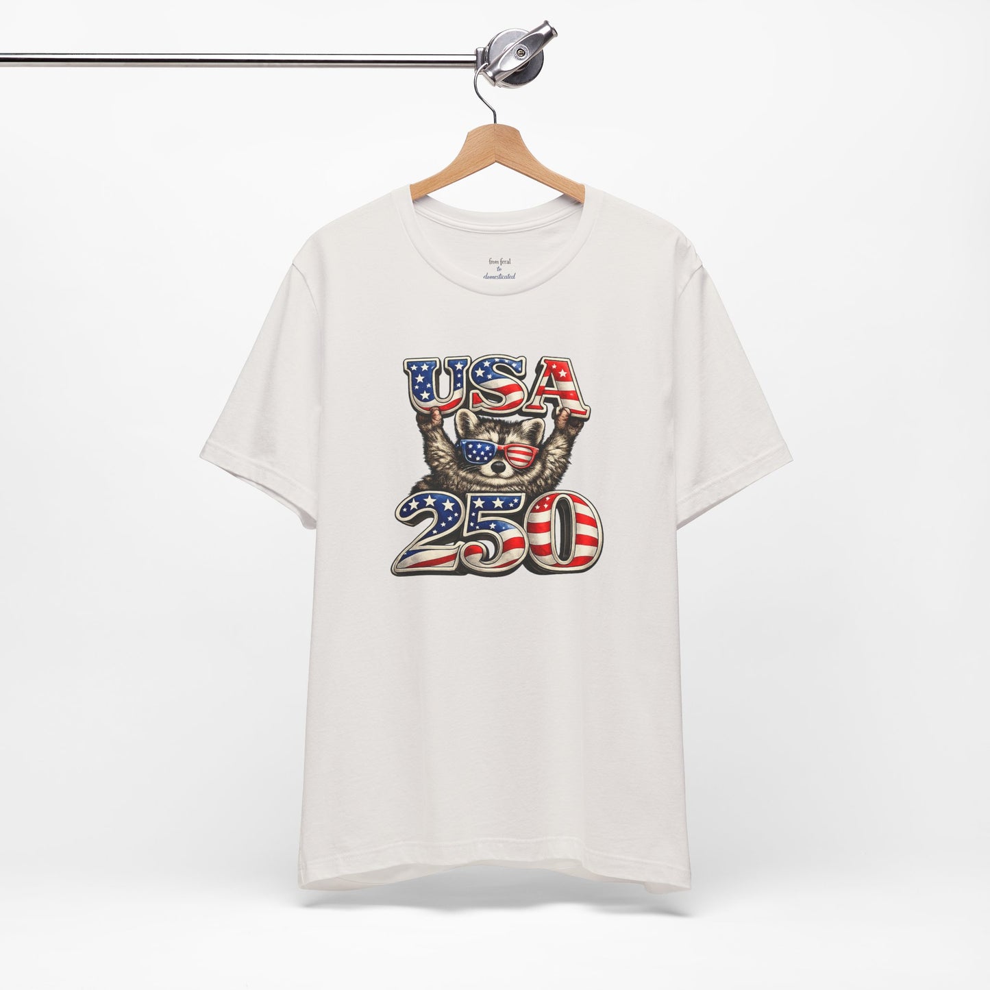 Patriot Raccoon 250th Anniversary T-Shirt — 4th of July Fireworks Flag Tee