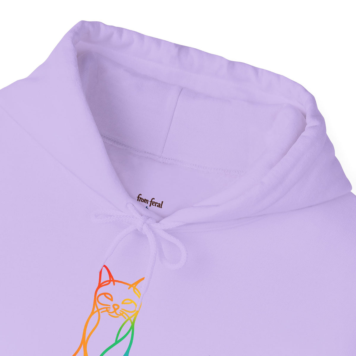 Rainbow Cat Hooded Sweatshirt