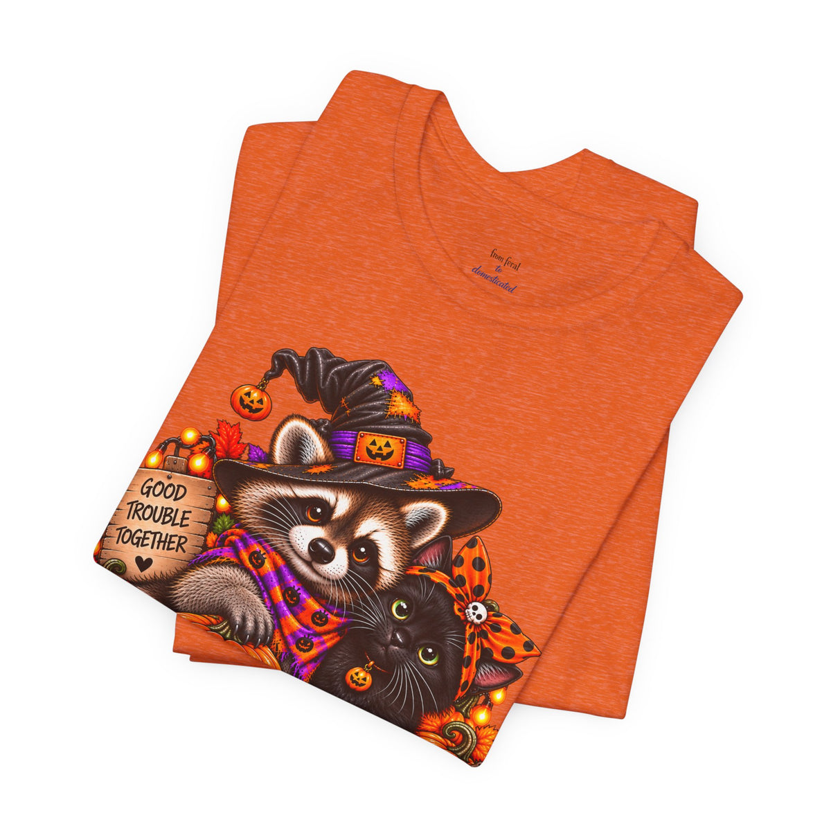 Halloween Raccoon and Black Cat T-Shirt