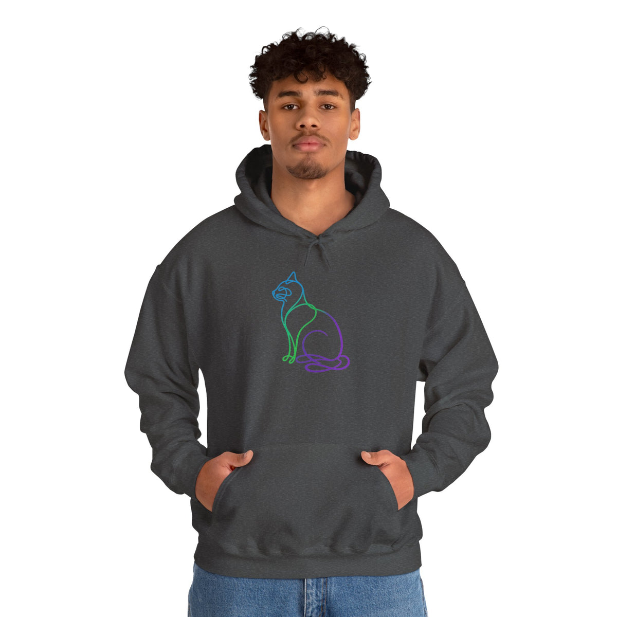 Northern Lights Cat Hooded Sweatshirt