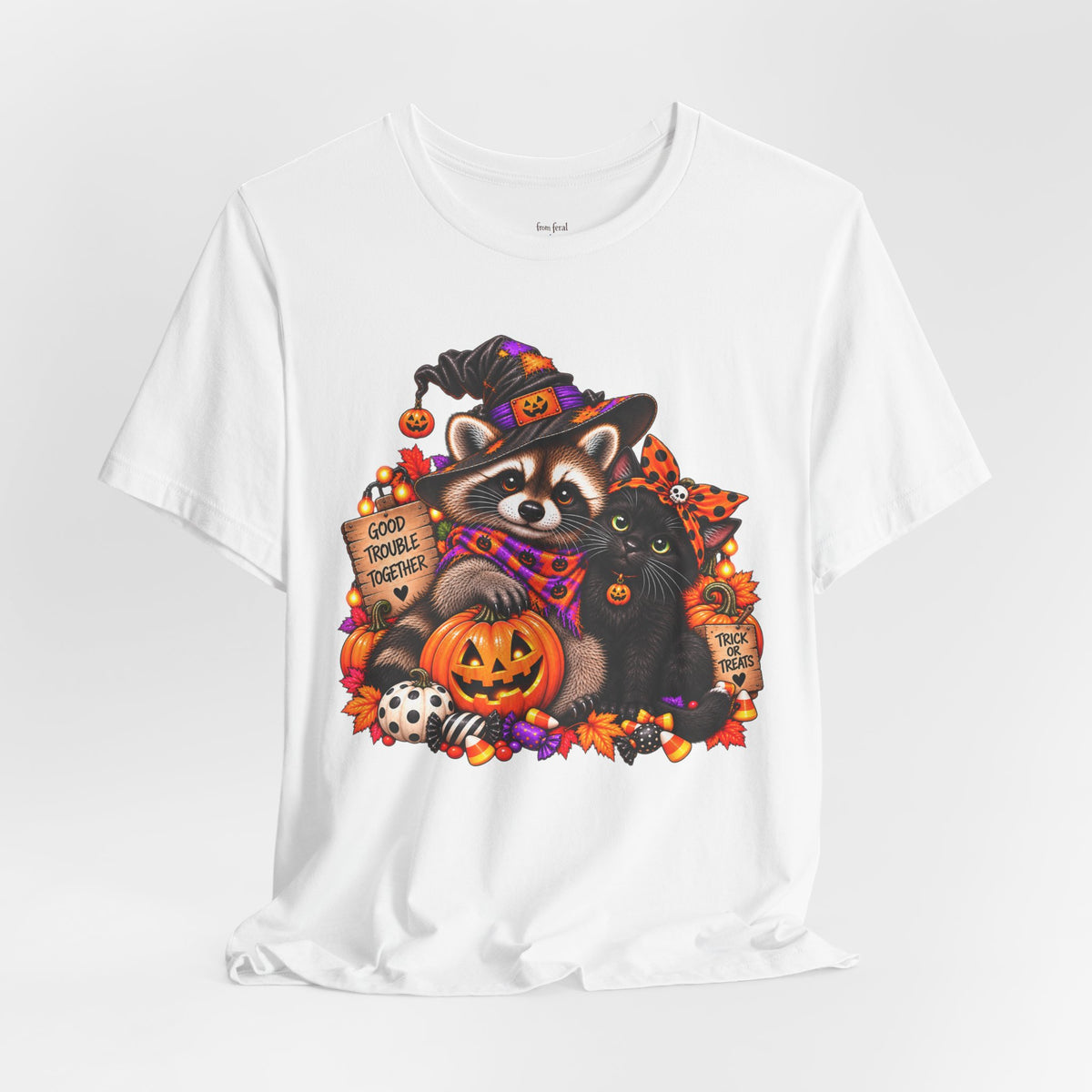 Halloween Raccoon and Black Cat T-Shirt