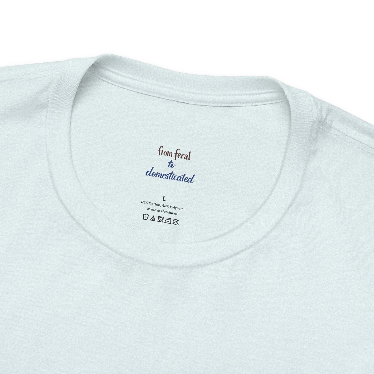 You're Awesome (And I'm Sarcastic) T-Shirt