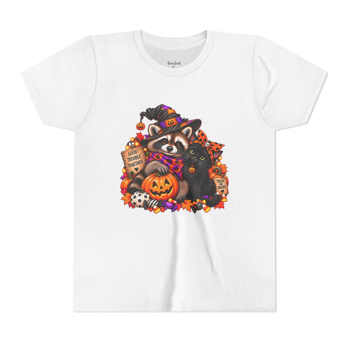 Halloween Youth Tee — Raccoon with it's Black Cat Bestie Kids Tshirt