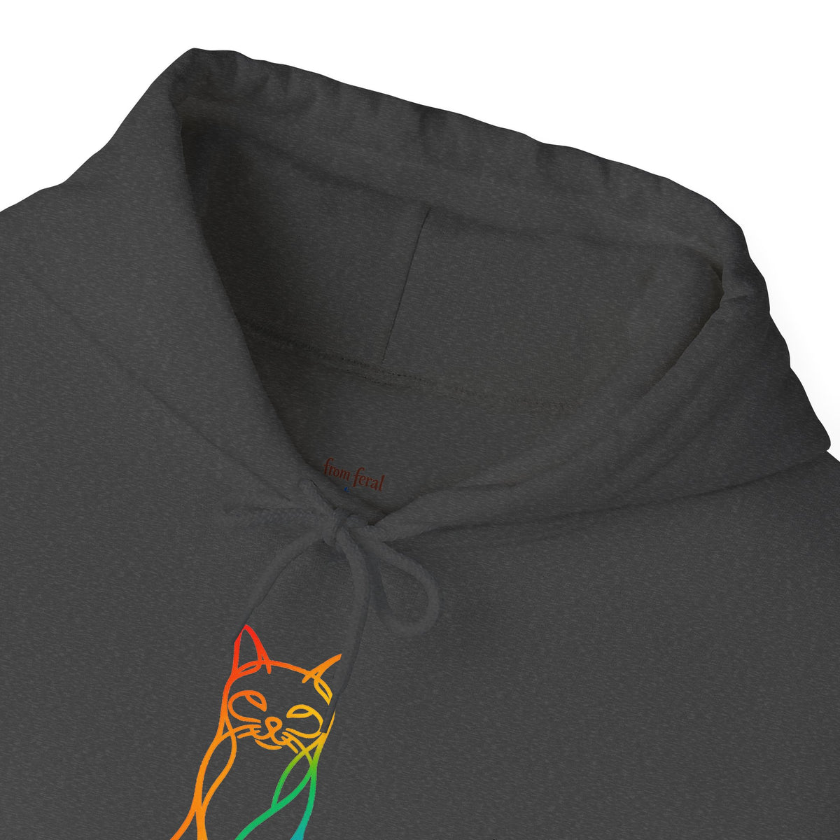 Rainbow Cat Hooded Sweatshirt