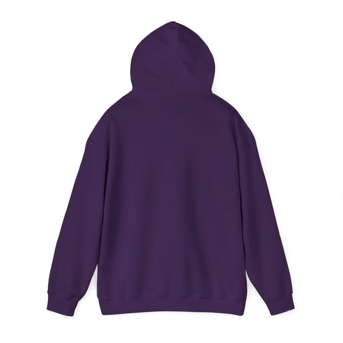 Ghosted Raccoon Hooded Sweatshirt