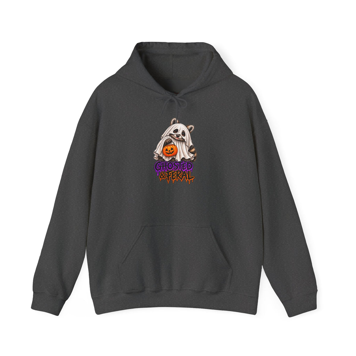 Ghosted Raccoon Hooded Sweatshirt