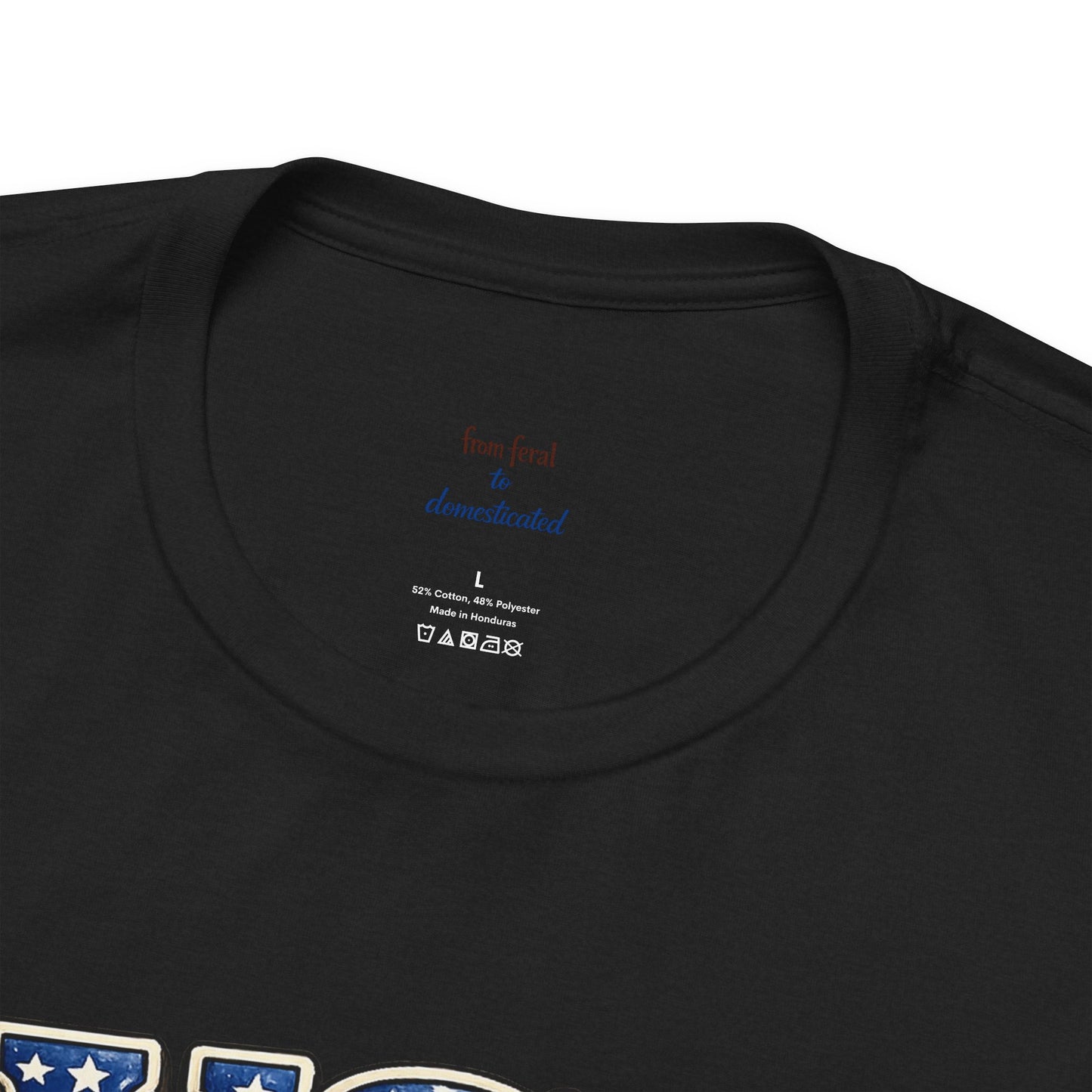 Patriot Raccoon 250th Anniversary T-Shirt — 4th of July Fireworks Flag Tee