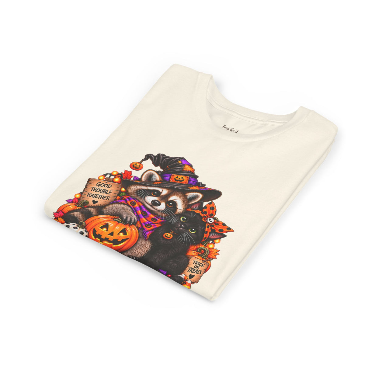 Halloween Youth Tee — Raccoon with it's Black Cat Bestie Kids Tshirt